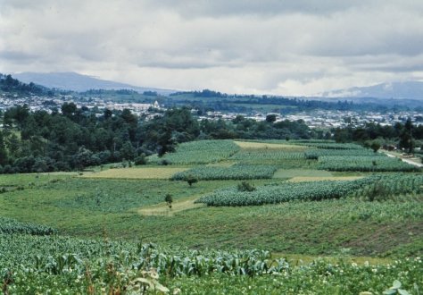 06-1977-07 Comalapa 01