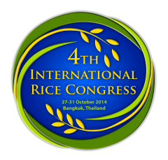 IRC 2014 logo final
