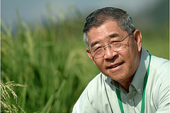 Source: IRRI http://farm1.staticflickr.com/98/368496234_1ff4a2cc01_m.jpg