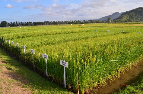 13572539893_3f4b43dfd2_k