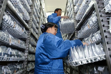 People_working_inside_the_International_Rice_Genebank