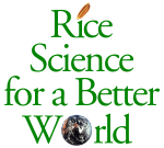 Rice Science copy
