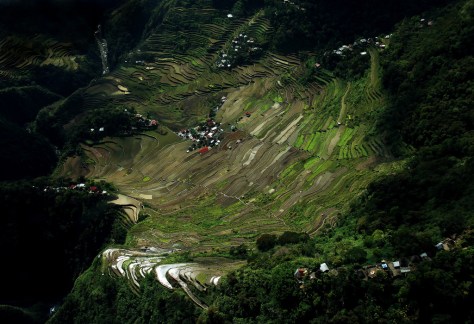 2280821539_cbaff414d6_b