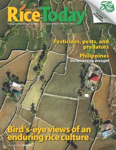 Ifugao from the air (RT7)_Page_01