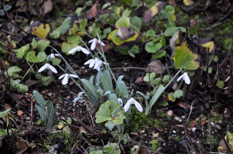 20151216 026 Charlecote Park