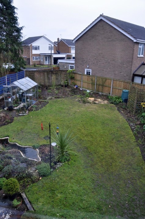 20170114-001-tree-felling