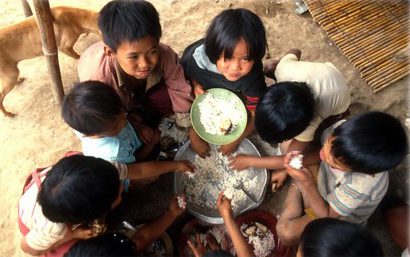 Courtesy of IRRI 41-copy