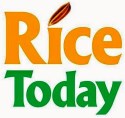 rice-today-logo