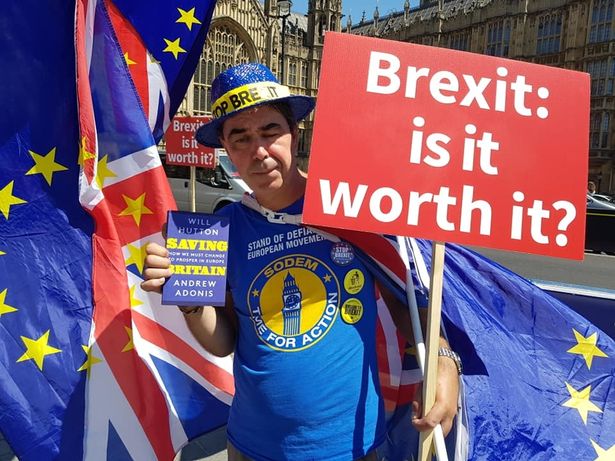From: https://www.walesonline.co.uk/news/wales-news/one-man-campaign-against-brexit-15059795