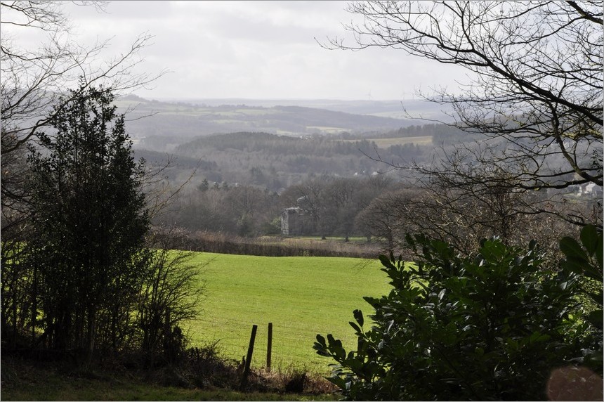 20210225 072 Gibside