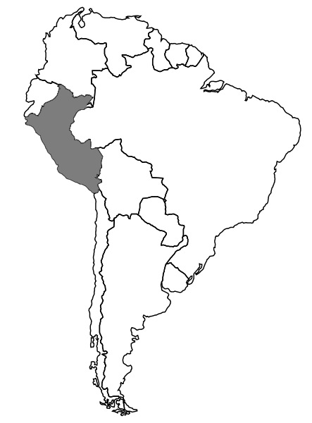 laurent_amerique_du_sud_politique