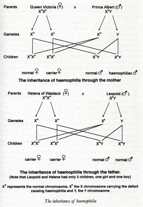 Source: Potts, DM & Potts, WTW, 1999. Queen Victoria's gene. Sutton Publishing, Stroud.