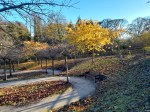 20231117 017 alnwick garden & amble&nbsp;beach